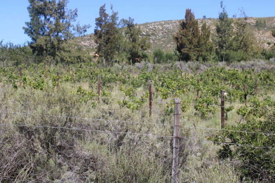 0 Bedroom Property for Sale in Haarlem Western Cape